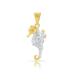 CABALLODEMAR1