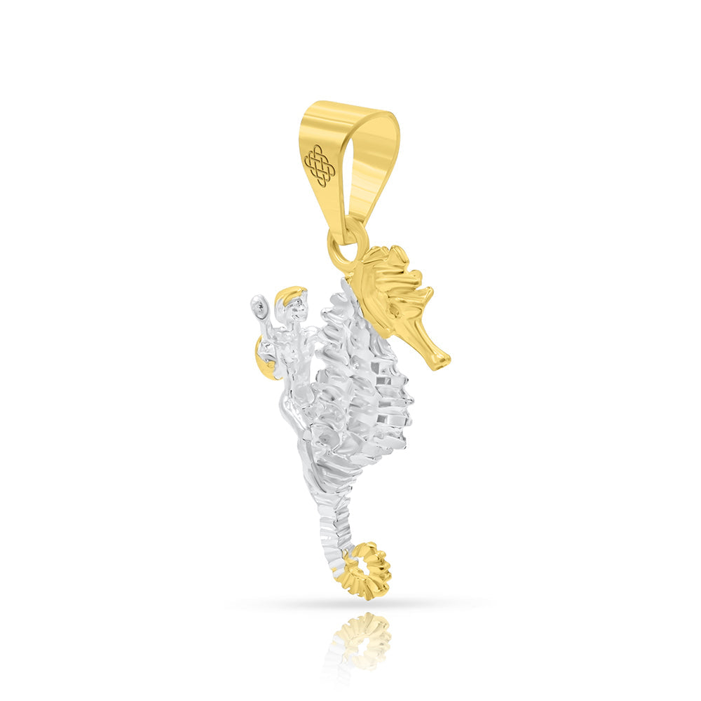 CABALLODEMAR2