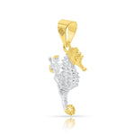 CABALLODEMAR2