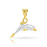 DELFIN1