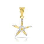 ESTRELLADEMAR1