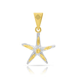 ESTRELLADEMAR1