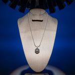 Fioblue-12