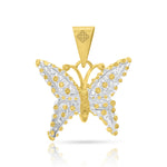 MARIPOSA1