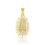 VIRGEN1